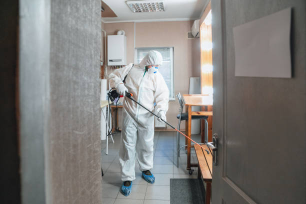 Best Emergency Mold Remediation  in Sebastian, FL