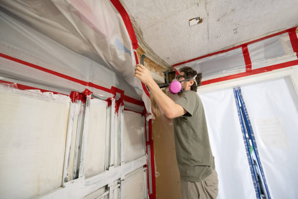 Best Mold Documentation for Insurance Claims  in Sebastian, FL