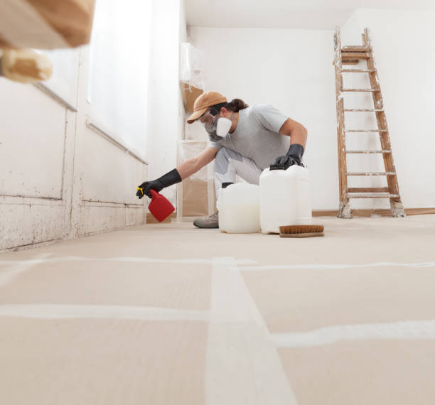 Best Asbestos and Lead Testing During Mold Inspection  in Sebastian, FL